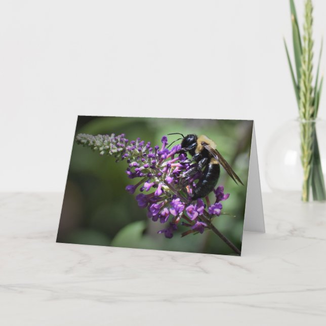 Honey Bee, card (Front)
