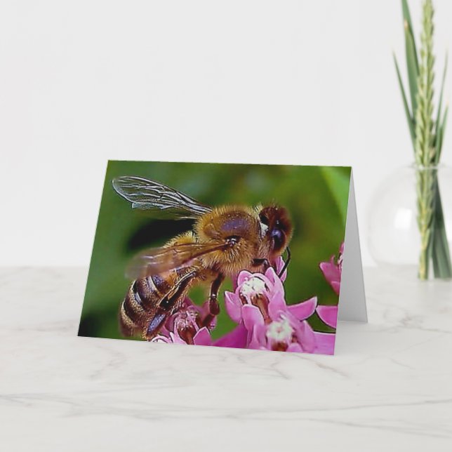 Honey Bee Card (Front)