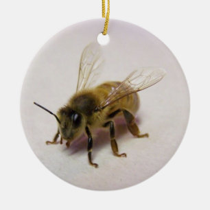 honey bee ceramic ornament