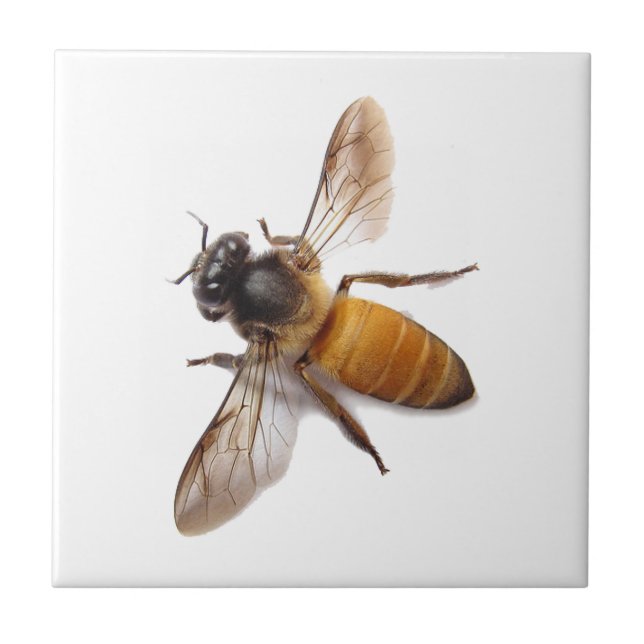 Honey Bee Ceramic Tile (Front)