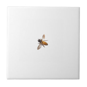 Honey Bee Ceramic Tile