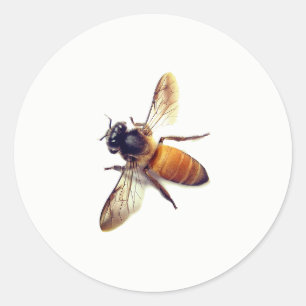 Honey Bee Classic Round Sticker