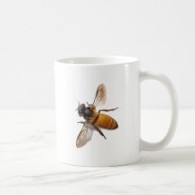 Honey Bee