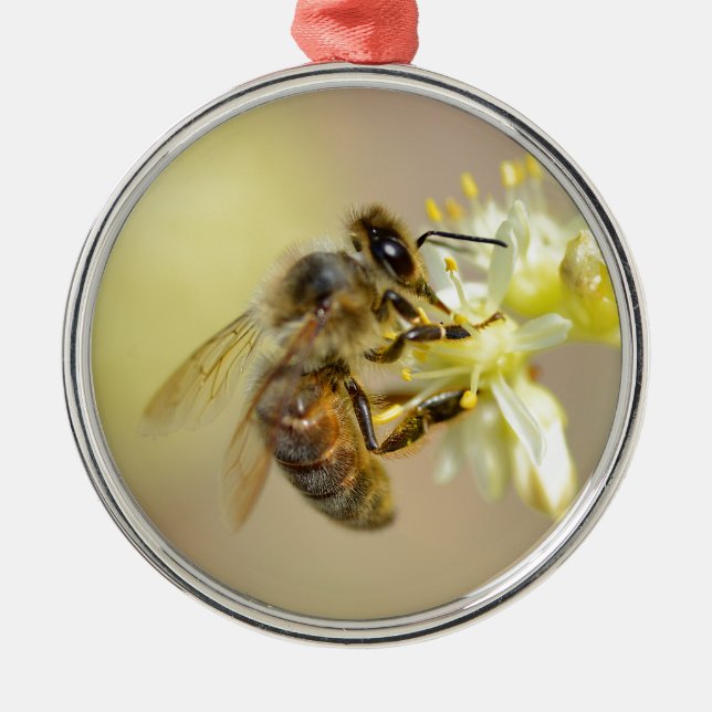 Honey bee feeding on flower metal ornament (Front)