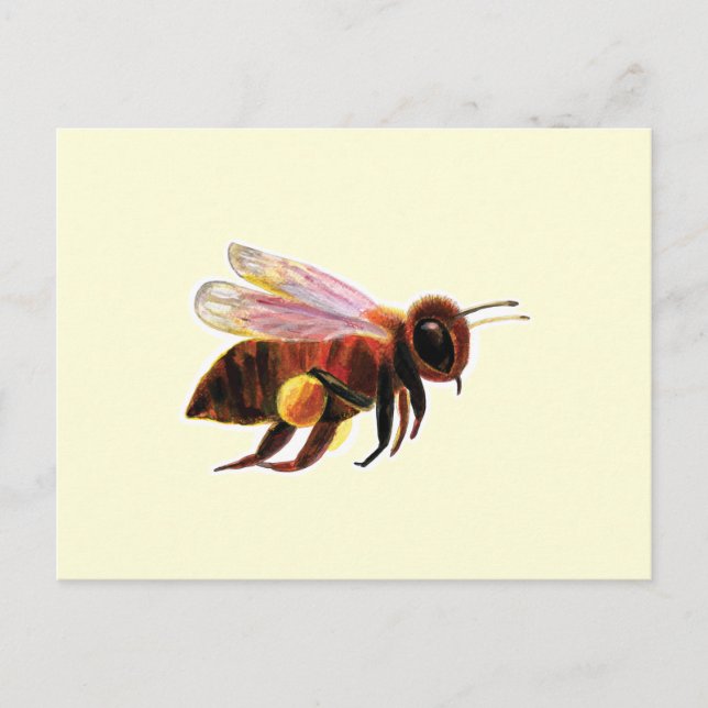 Honey Bee Flying   Postcard (Front)