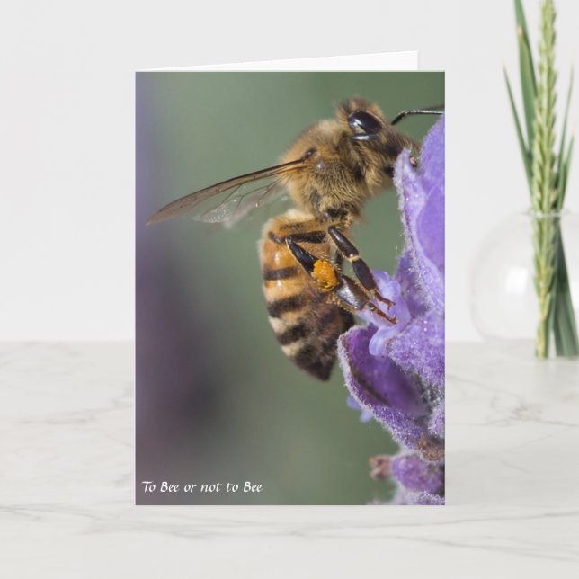 Honey Bee Greeting Card Blank (Front)