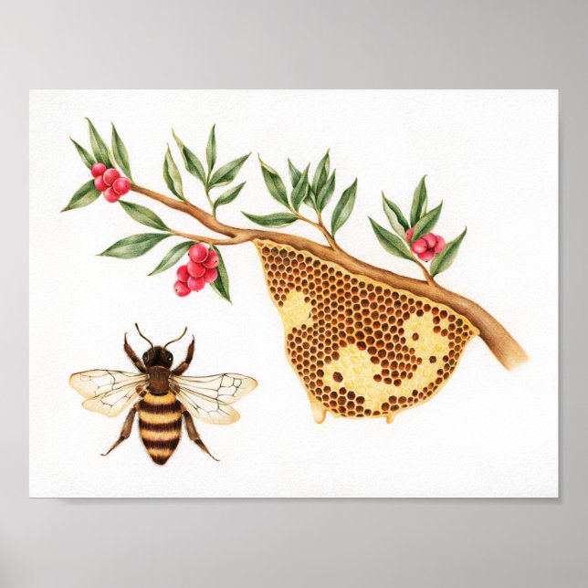 Honey Bee Illustration Poster (Front)