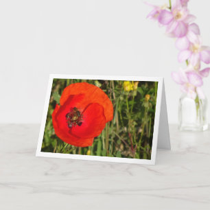 Honey Bee in Red Poppy Card