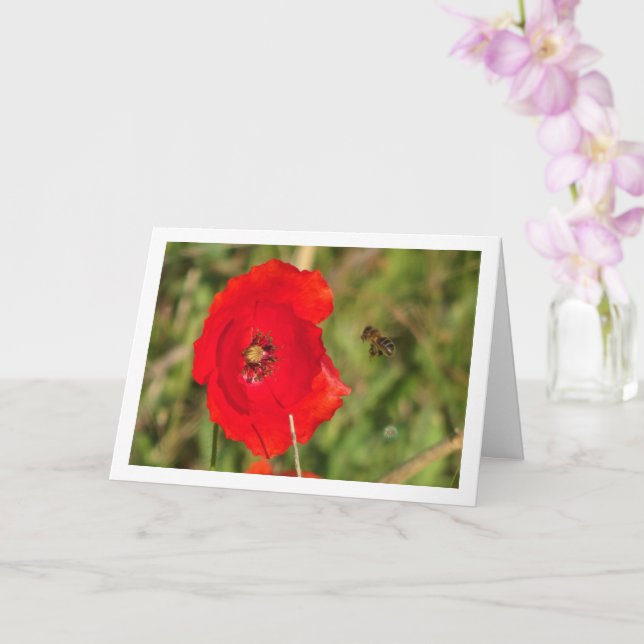 Honey Bee in Red Poppy Card (Orchid)