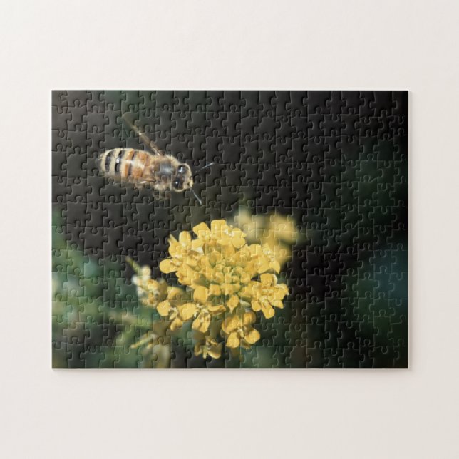 honey bee jigsaw puzzle (Horizontal)
