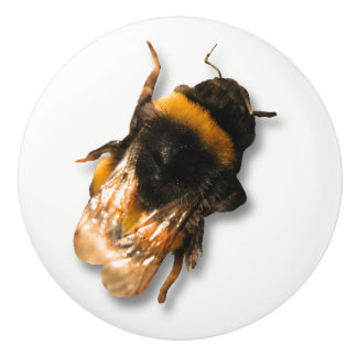 Honey bee knob