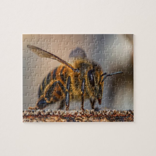 Honey Bee Love Jigsaw Puzzle (Horizontal)