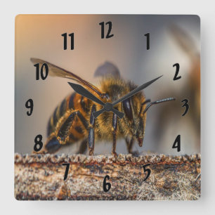 Honey Bee Love Square Wall Clock
