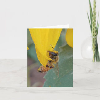 Honey Bee Note Card