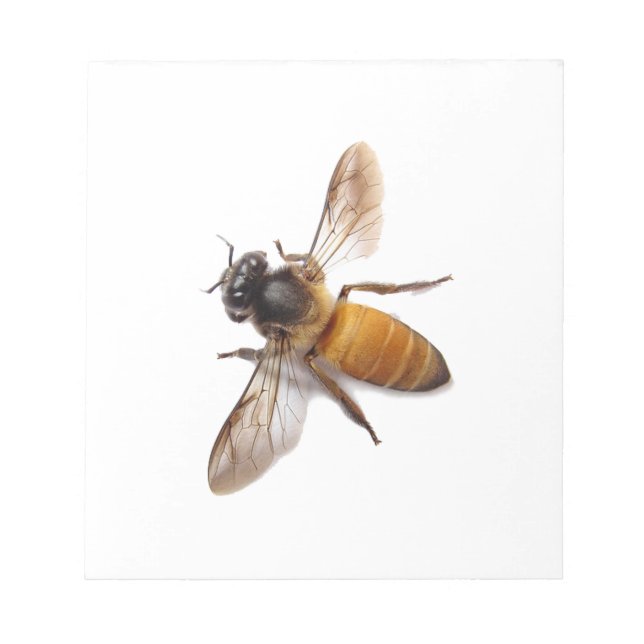 Honey Bee Notepad (Front)