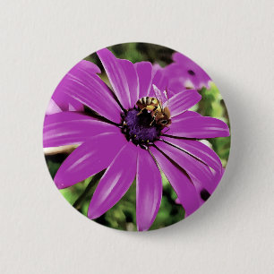 Honey Bee On A Purple African Daisy Art 6 Cm Round Badge