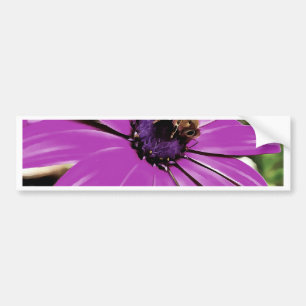Honey Bee On A Purple African Daisy Art Bumper Sticker