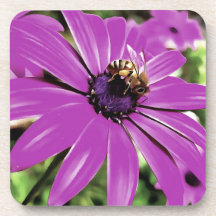 Honey Bee On A Purple African Daisy Art