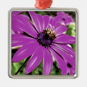 Honey Bee On A Purple African Daisy Art Metal Ornament