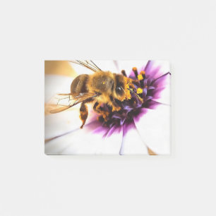 Honey Bee On African Daisy Acrylic Art Post-it Notes