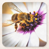 Honey Bee On African Daisy Acrylic Art