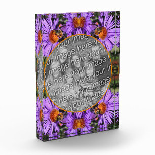 Honey Bee On Aster Flower Add Your Photo Block