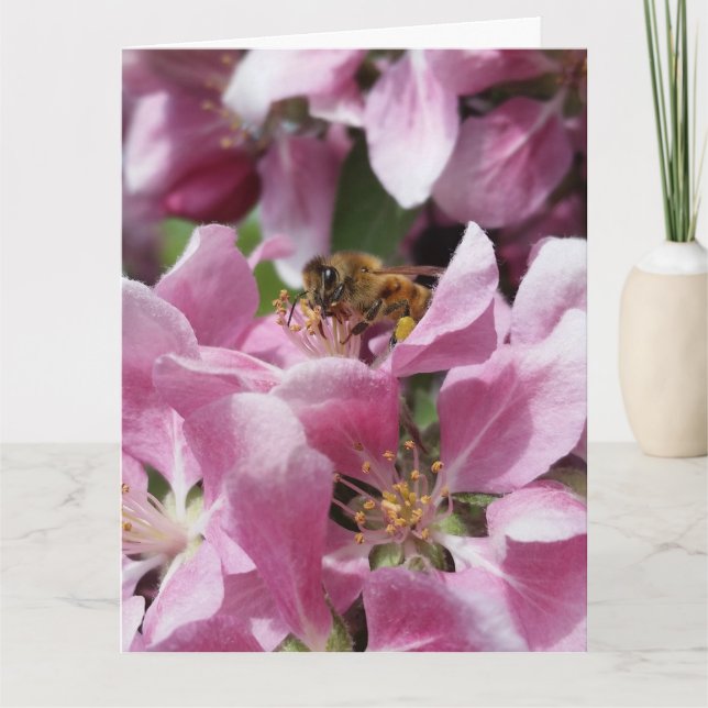 Honey Bee on Blossom with Quote Card (Front)