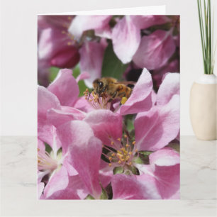 Honey Bee on Blossom with Quote Card