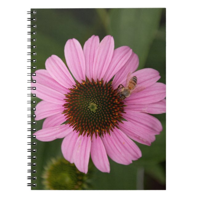 Honey Bee on Cone Flower Notebook (Front)