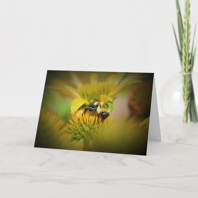 Honey Bee On Coneflower, card (Front)