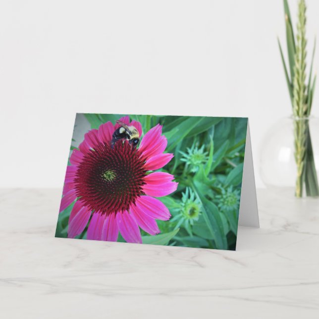 Honey Bee On Coneflower, card (Front)