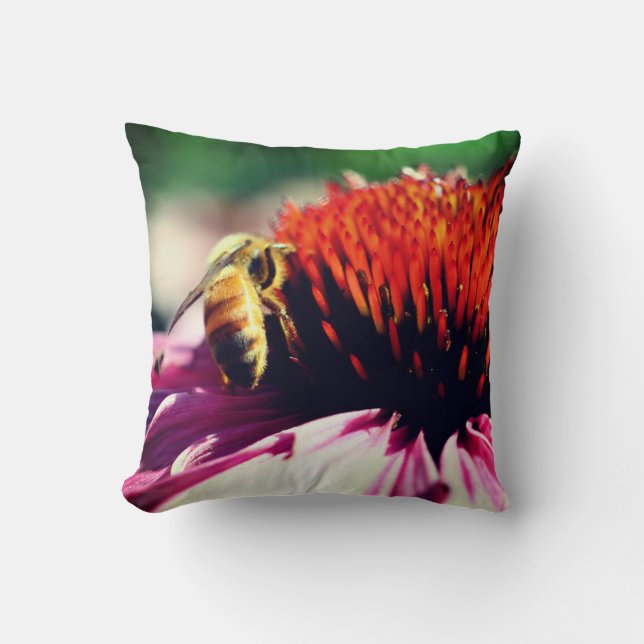 Honey Bee On Coneflower Close Up  Cushion (Front)