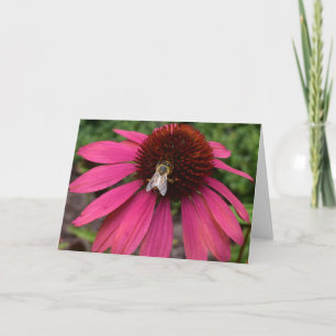 Honey Bee on Coneflower Greeting Card