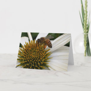 Honey Bee on Coneflower Greeting Card