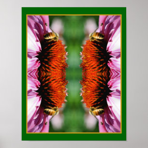 Honey Bee On Echinacea Daisy Flower Abstract  Poster
