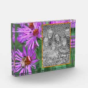 Honey Bee On Pink Aster Flower Add Your Own Photo Block