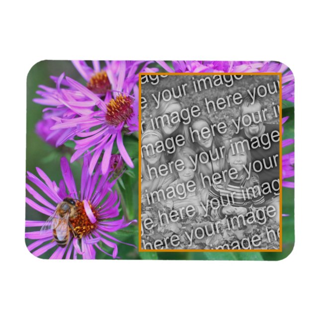 Honey Bee On Pink Aster Flower Add Your Photo  Magnet (Horizontal)