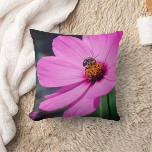 Honey Bee On Pink Cosmos Flower Close Up Cushion