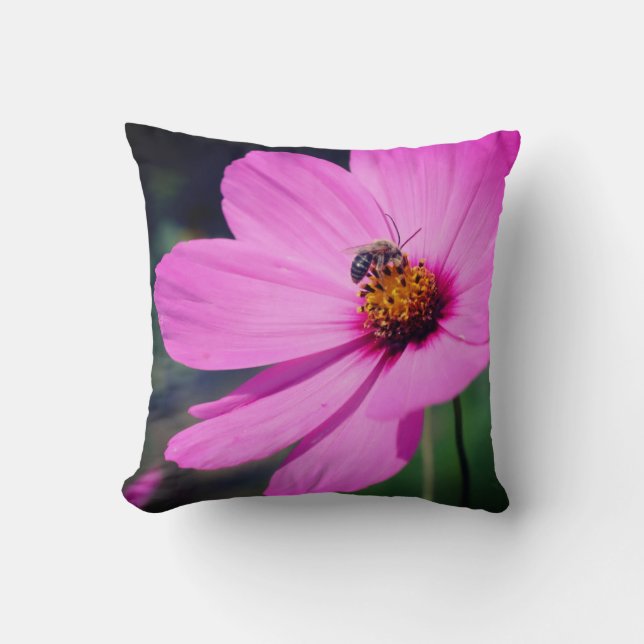 Honey Bee On Pink Cosmos Flower Close Up  Cushion (Front)