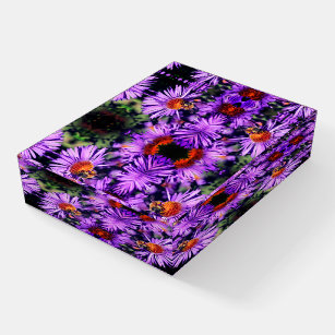 Honey Bee On Purple Aster Flower Abstract Paperweight