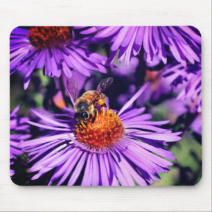 Honey Bee On Purple Aster Flower Mouse Pad