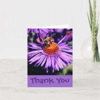 Honey Bee On Purple Aster Flower Thank You Card