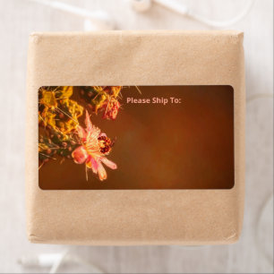 Honey Bee Pink Cholla Cactus Flower Arizona