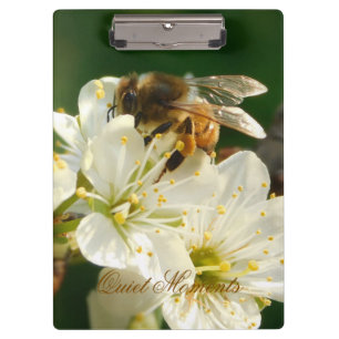 Honey Bee Plum Blossom Nature Study Clipboard
