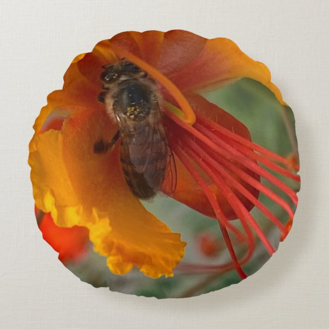 Honey Bee 🐝  Round Cushion (Front)