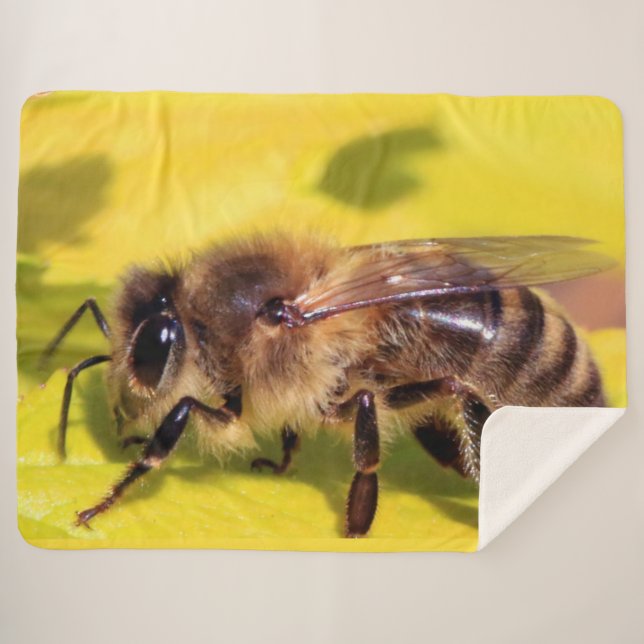 HONEY BEE SHERPA BLANKET (Front (Horizontal))