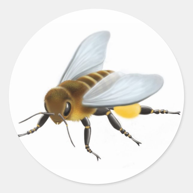 Honey Bee Sticker (Front)