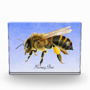 Honey Bee Watercolor Painting Photo Block