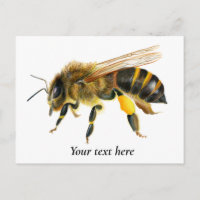Honey Bee Watercolor Painting