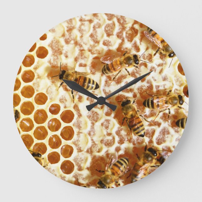 HONEY BEES 2  LARGE CLOCK (Front)